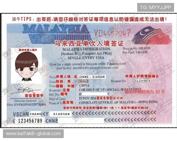 世界杯期间埃及和伊朗球员及工作人员的签证办理流程详细说明